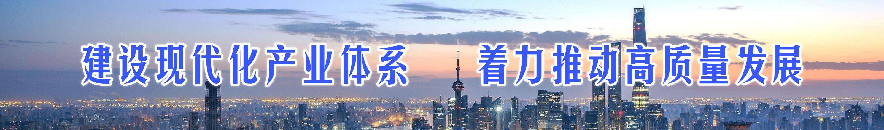 建設現代化產業體系，著力推動高質量發展